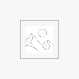 WordPress Hosting